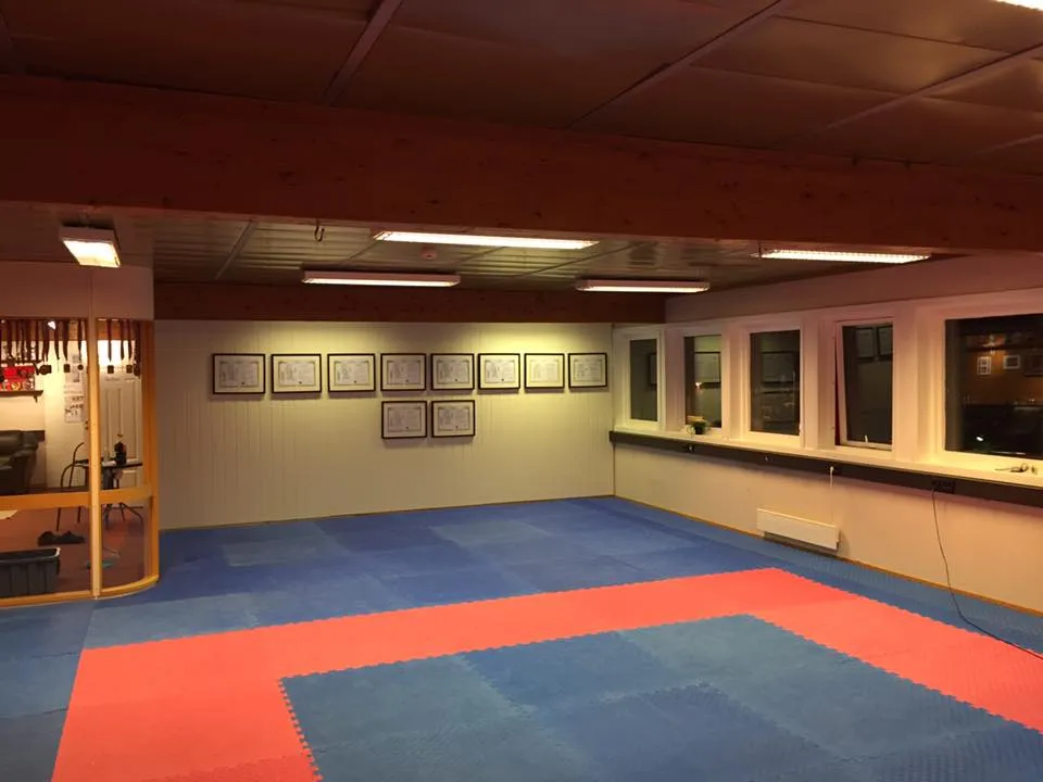 Vikingene Karateklubb — kampsport-studio i Ågotnes — 2