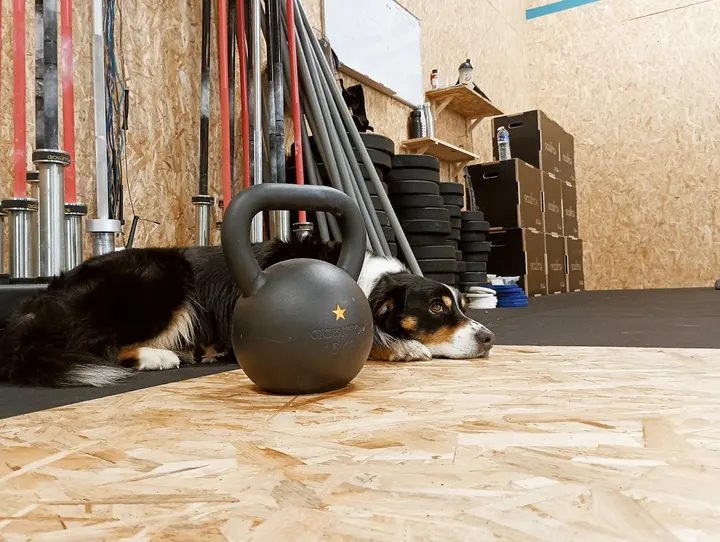 SAO fit training — crossfit-studio à Saint-André-sur-Orne — 5