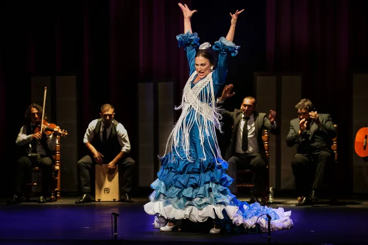 Amor Flamenco — danse-studio à Bas Vernet, Perpignan — 3