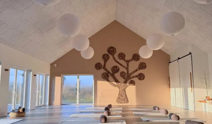 Wessel Yoga — yoga-studio i Snejbjerg, Gødstrup — 3
