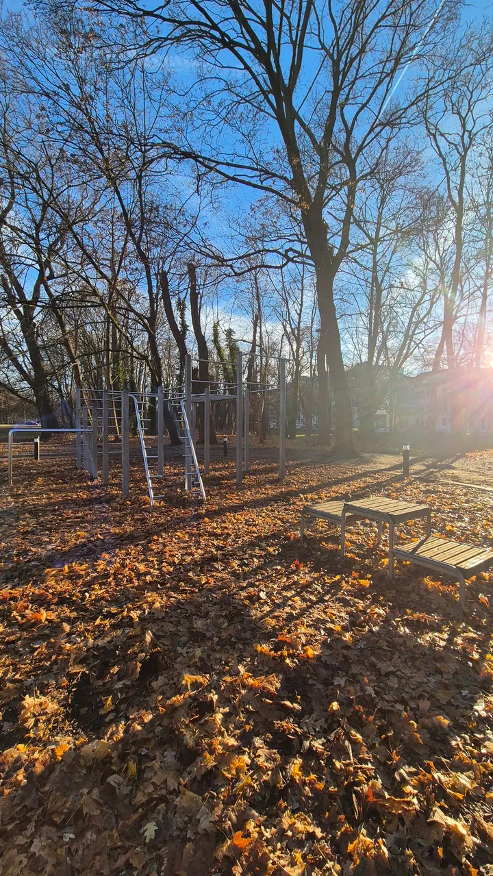 Cali38 - Calisthenics Braunschweig — calisthenics-studio in Östliches Ringgebiet, Braunschweig — 3