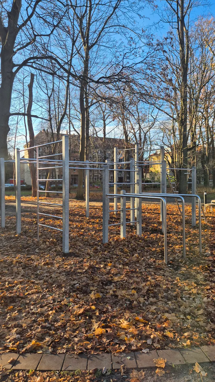 Cali38 - Calisthenics Braunschweig — Calisthenics in Östliches Ringgebiet, Braunschweig