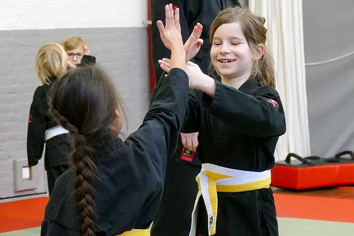 Shin Sei Ryu — Vechtsport in Centrum, Beuningen