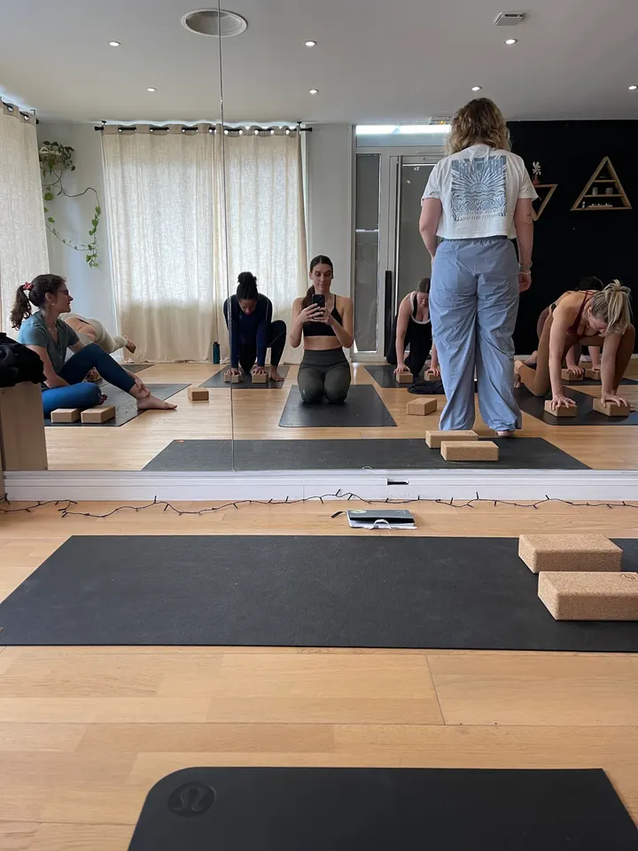 Gang de Yogis Annecy — Yoga à Annecy
