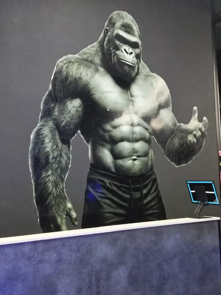Boss Fitness — estudio de fitness-studio en Chilches — 2