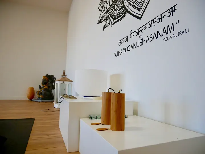 Ekho Sphère Rue des Chabassières — yoga-studio à Clos du Moins Roux, Orléans — 2