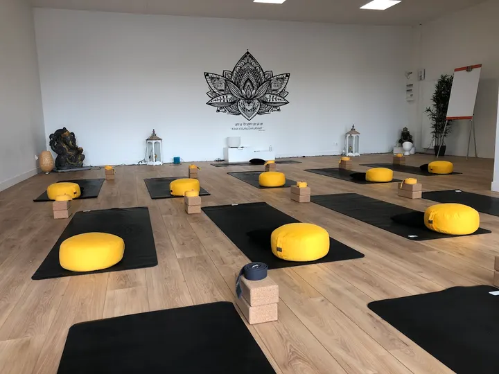 Ekho Sphère Rue des Chabassières — yoga-studio à Orléans — 4