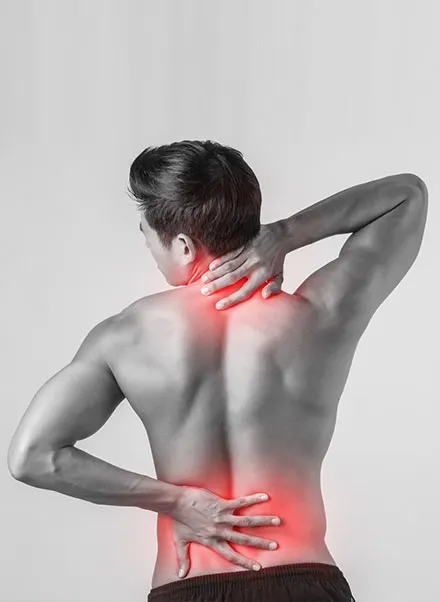 Bünting Physiotherapie Adeptus Medici — PT-Studio in Neue Neustadt, Magdeburg