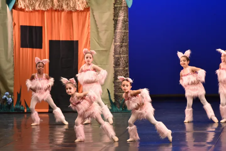Academia Dança Studio — dança-studio em Meadela, Águeda — 3