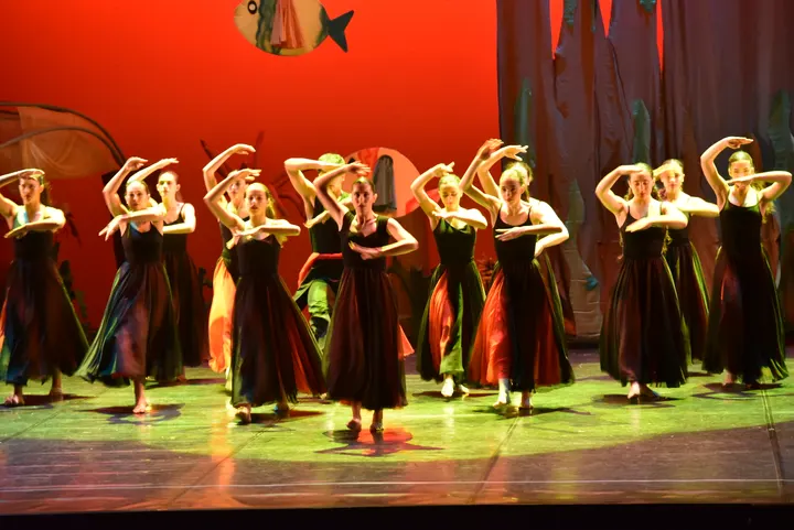 Academia Dança Studio — dança-studio em Águeda — 3