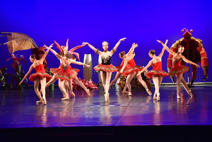 Academia Dança Studio — dança-studio em Águeda — 6