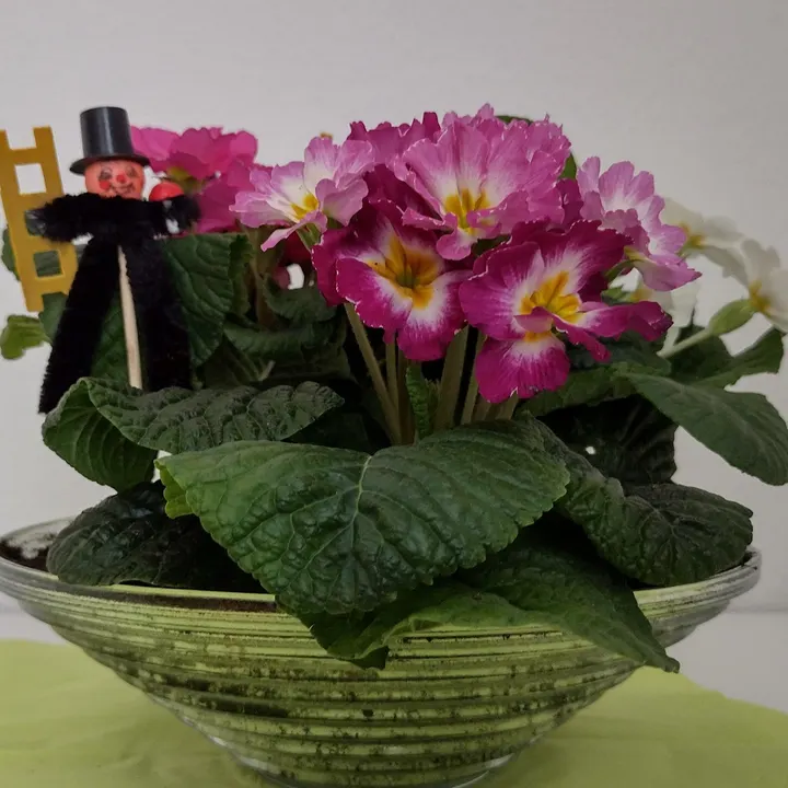 Avia Yoga - Inge Fischle — yoga-studio in Riedberg, Frankfurt am Main — 2