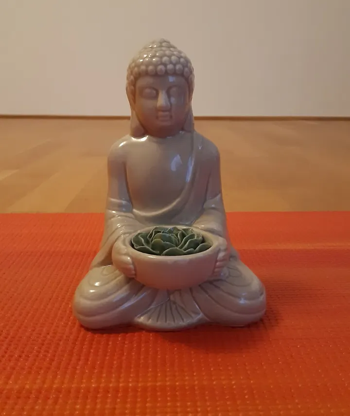 Avia Yoga - Inge Fischle — Yoga in Riedberg, Frankfurt am Main