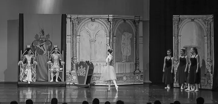 The Park Ballettschule Neckarau — tanz-studio in Mannheim — 4