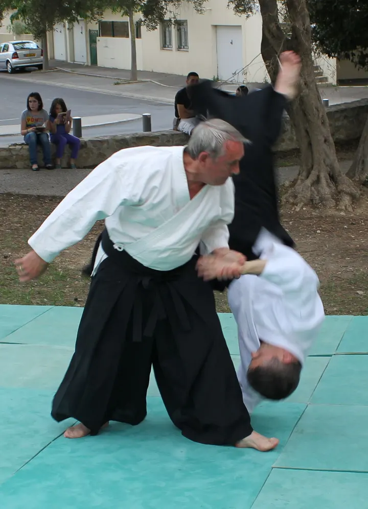 Aikikan Saint Jean De Vedas — arts martiaux-studio à Saint-Jean-de-Védas, Montpellier — 3