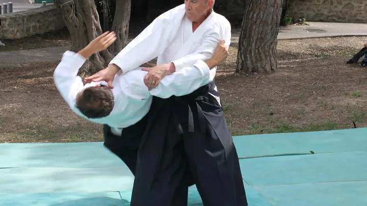 Aikikan Saint Jean De Vedas — arts martiaux-studio à Montpellier — 3
