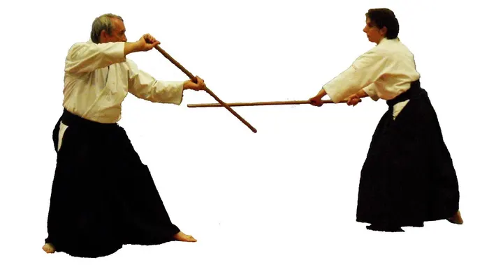 Aikikan Saint Jean De Vedas — arts martiaux-studio à Montpellier — 4