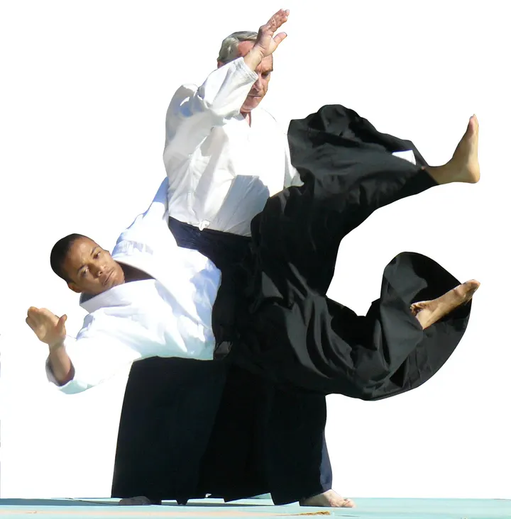 Aikikan Saint Jean De Vedas — arts martiaux-studio à Montpellier — 5