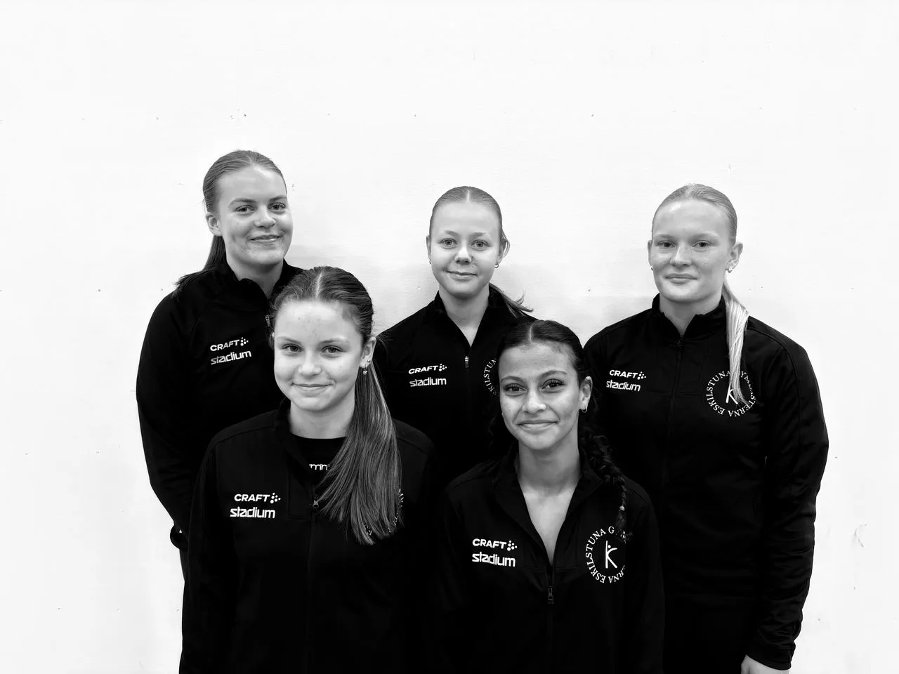 Idrottsklubben EskilstunaGymnasterna — träningsstudio i Eskilstuna — 2