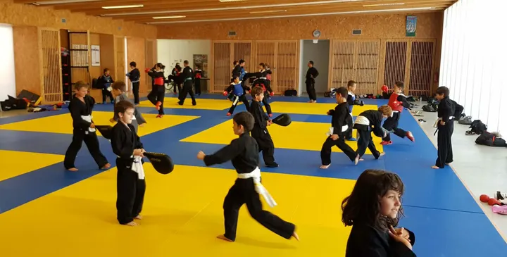 Viet Vo Dao Thanh Long — Arts martiaux à Pouvourville, Toulouse