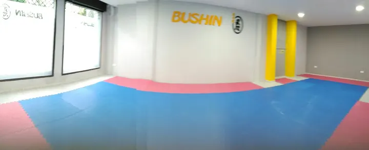 Club - Dojo Bushin Artes Marciales — artes marciales-studio en Juan XXIII, Sevilla — 3