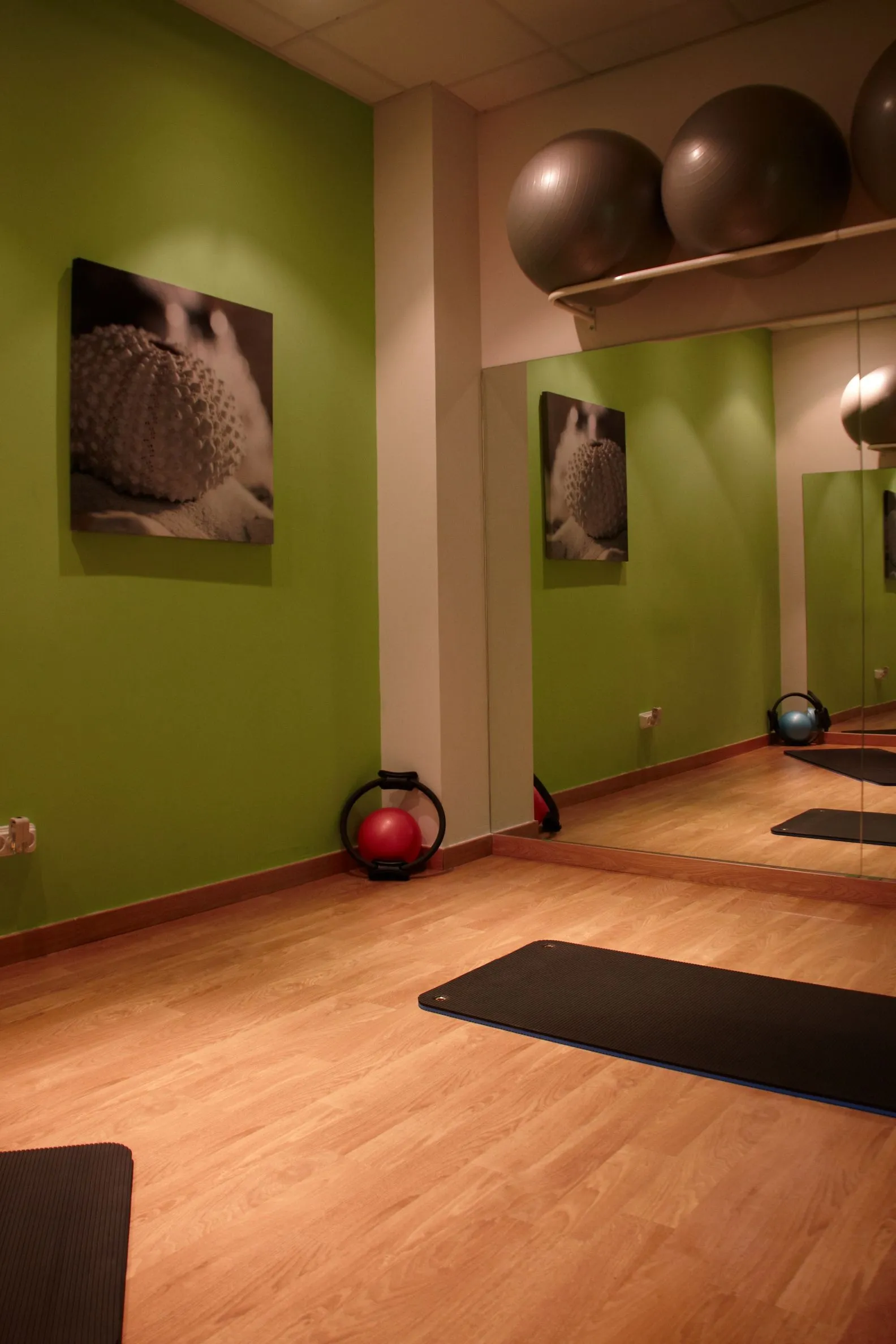 Fisioterapia y Pilates Arve — pilates-studio en Getafe — 3