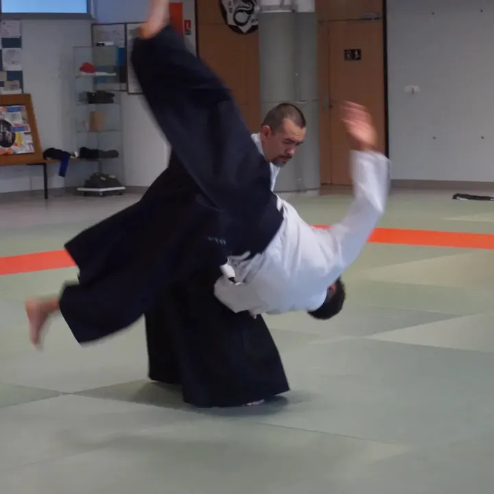 Aïkikaï d'Epagny aikido club — arts martiaux-studio à Epagny Metz-Tessy — 3