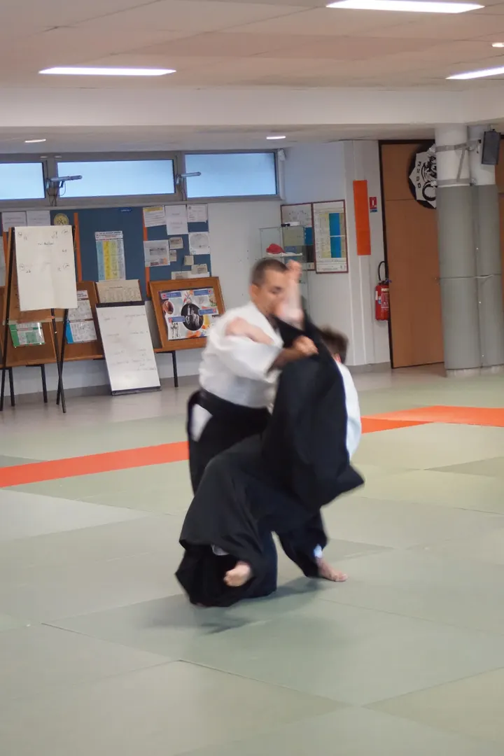 Aïkikaï d'Epagny aikido club — Arts martiaux à Épagny, Epagny Metz-Tessy