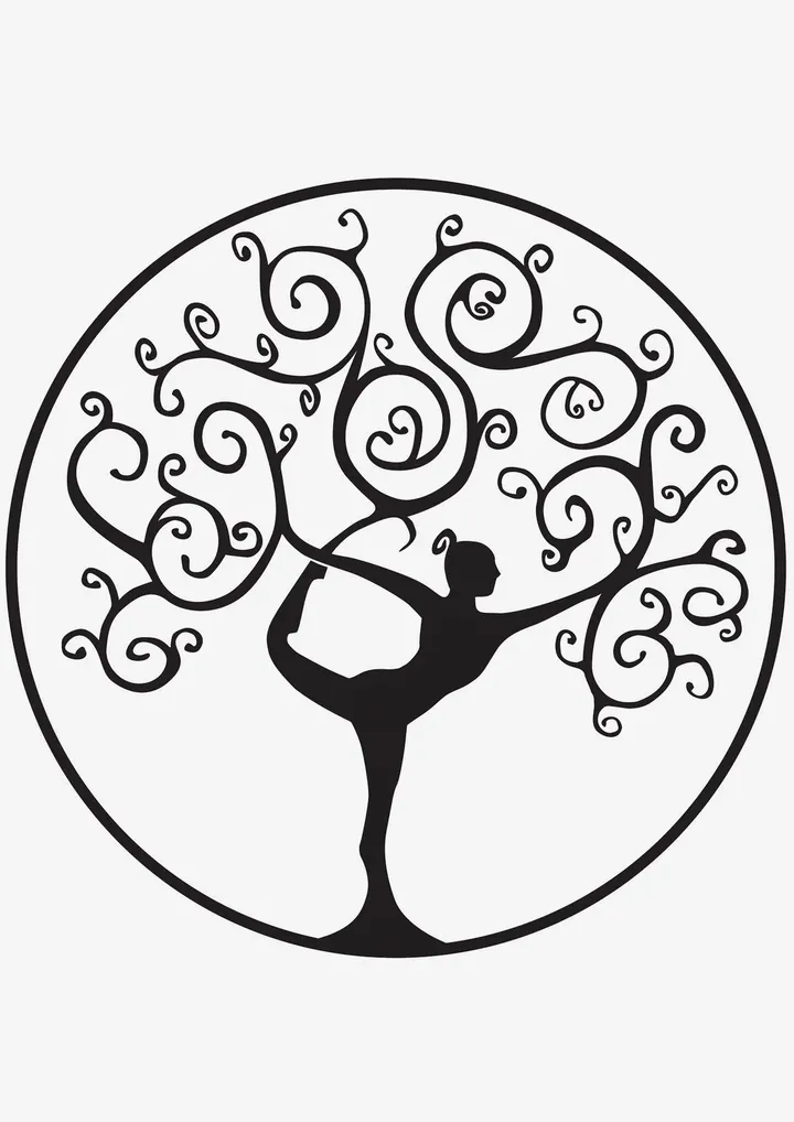Area 20 Pilates GYROTONIC e — Pilates a Porta Venezia, Brescia
