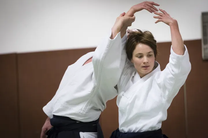 Aikido Paris XV La Plaine — Arts martiaux à Paris 15e Arrondissement, Paris
