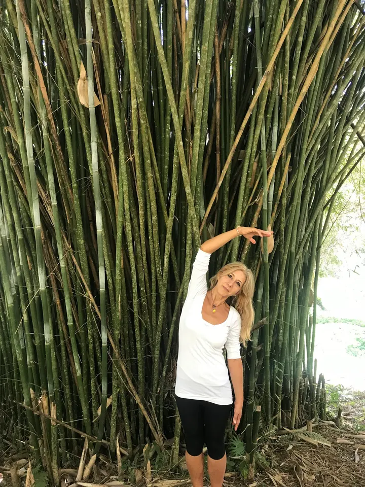 Yoga e Pilates Divenire — yoga-studio a Santo Stefano esterna-Gardenia, Reggio Emilia — 2