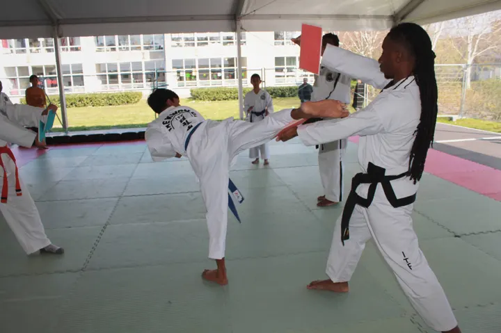 Taekwondo Kkamagwi — vechtsport-studio in Amsterdam — 5