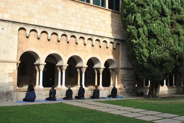 Dojo Zen Sant Cugat Mushin — martial arts-studio i Costa del Golf, Sant Cugat del Vallès