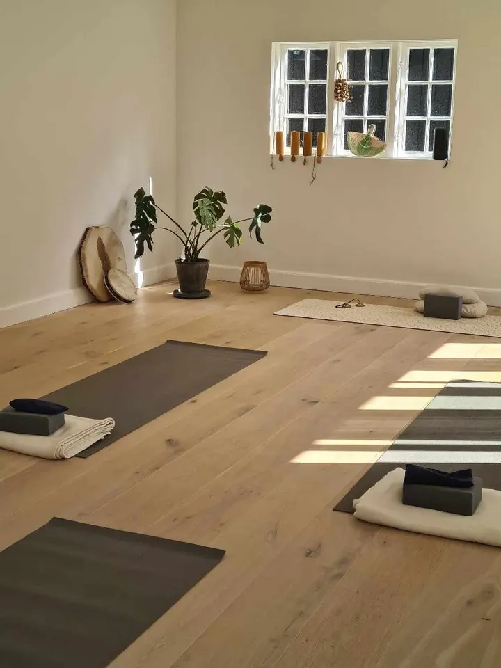 Elysium Yoga Studio — yoga-studio i Klampenborg — 3