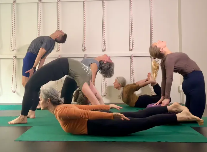 Yoga i Linné - Yogastudio — fitness studio-studio i Olivedal, Göteborg