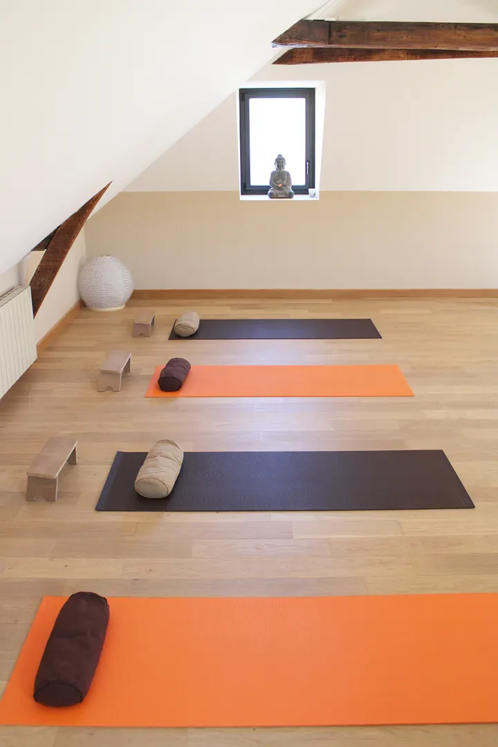 Yoga Lucie Fouquere — yoga-studio à Gare Nord, Le Mans — 2