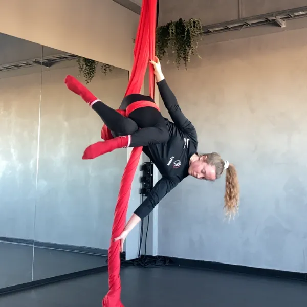 Calisthenics — calisthenics-studio i Malmö — bild 3