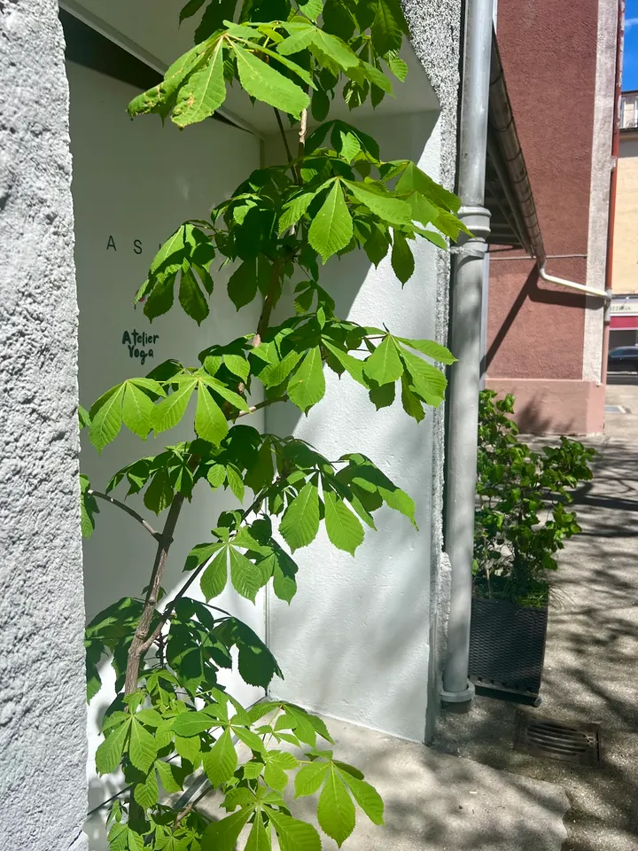 Atelier Yoga — yoga-studio in München — 5