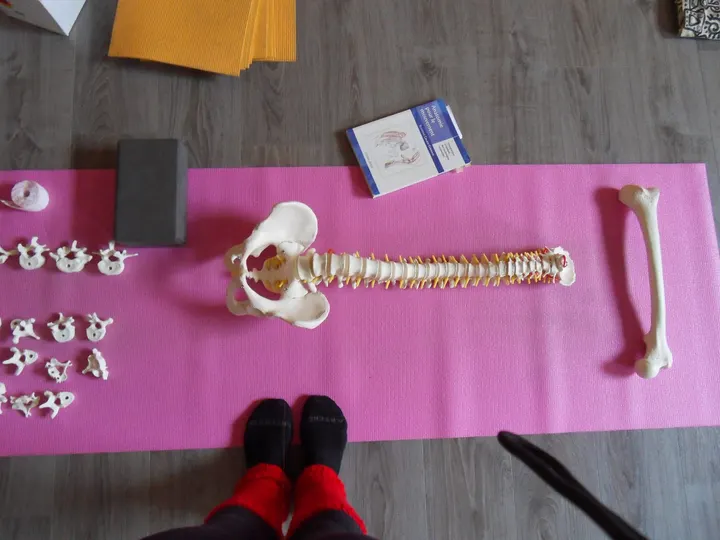 Yogasatya Rue Curie — yoga-studio à Bellecombe, Lyon — 3