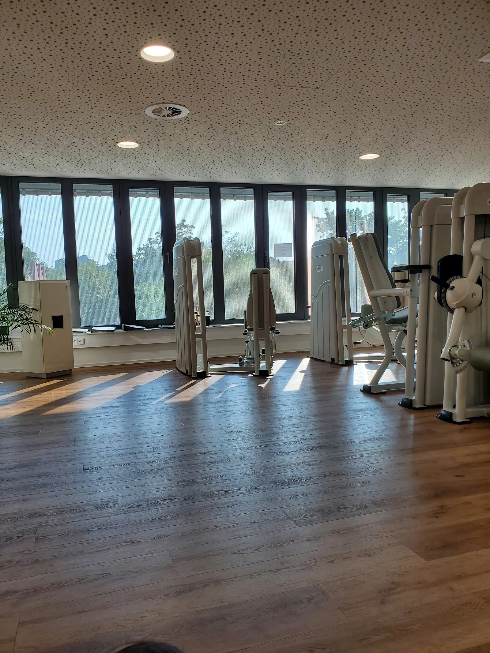 Physiotherapie MOVIN am Mooswald — pt-studio in Freiburg im Breisgau-West — 4