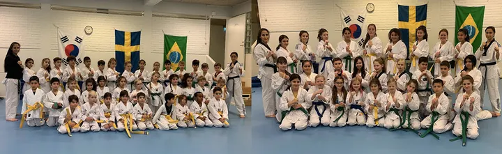 JAS Taekwondo — martial arts-studio i Fridshäll, Södertälje
