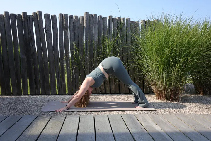 Namunyak Yoga - Online — yoga-studio in Amsterdam — 6