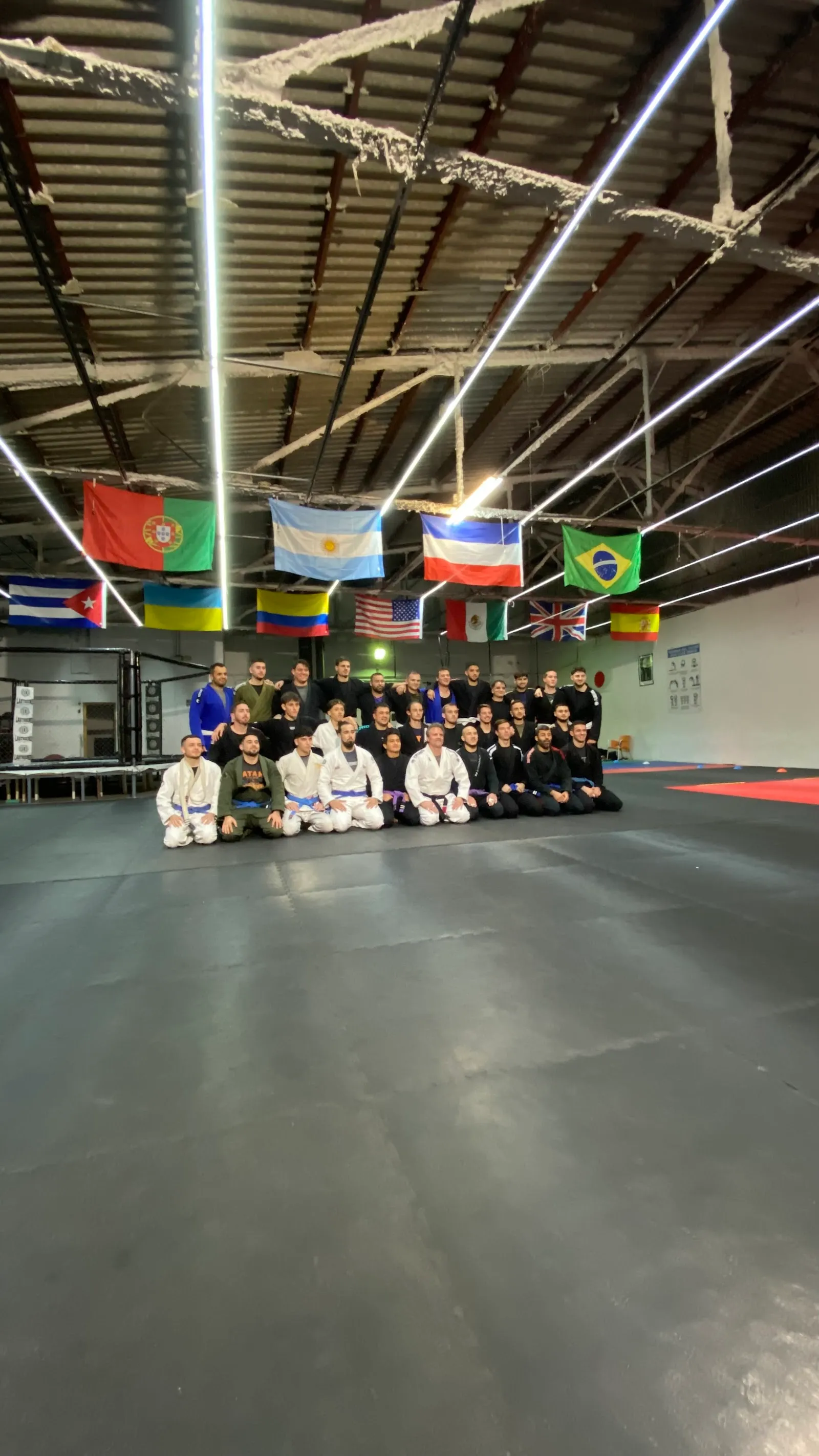 Savage Martial Arts Elche — artes marciales-studio en Elx/Elche — 4