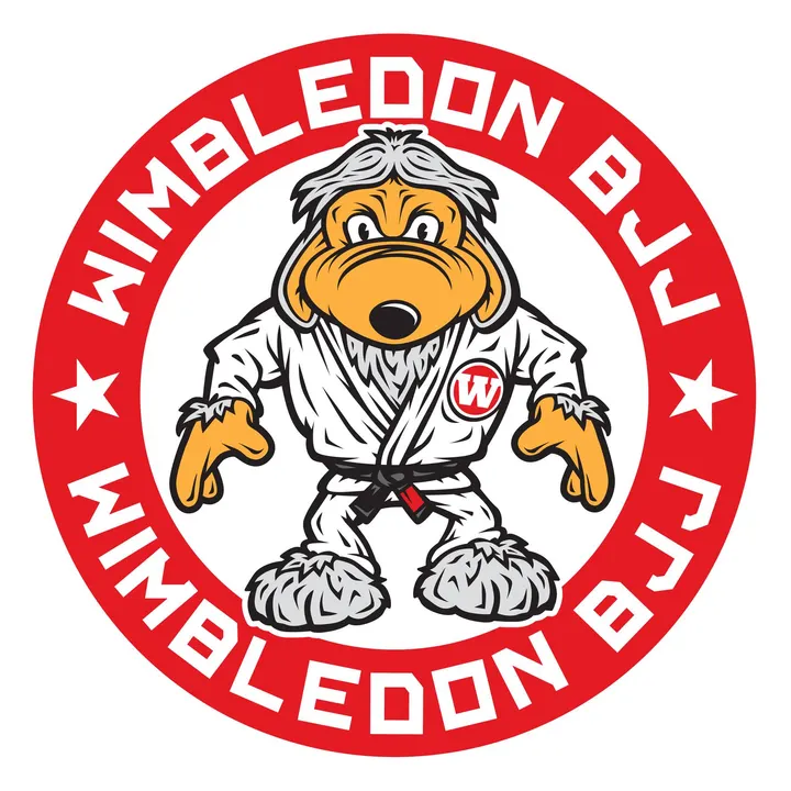 Wimbledon BJJ — bjj-studio in London — 3