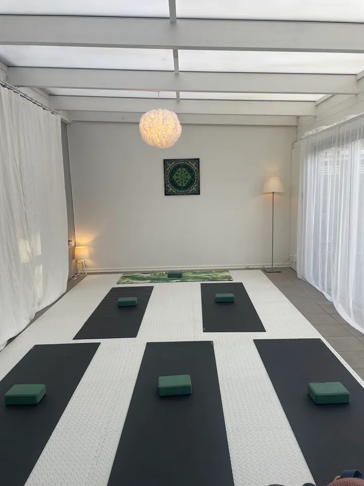 Vichitra yoga — Yoga i Lomma, Malmö