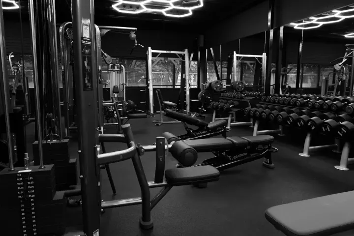 Synergy — krachttraining-studio in Breda — 3