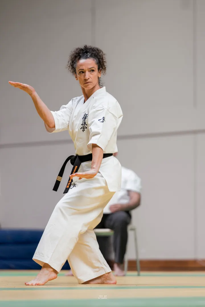 Club Lyon Karaté Kyokushinkai — arts martiaux-studio à Lyon — 3