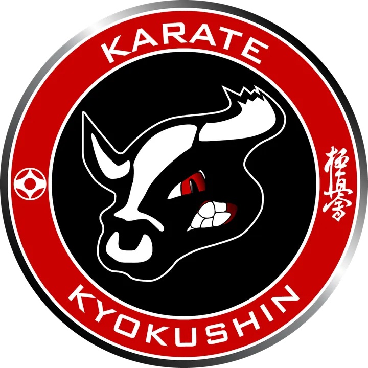Club Lyon Karaté Kyokushinkai — arts martiaux-studio à Lyon — 5