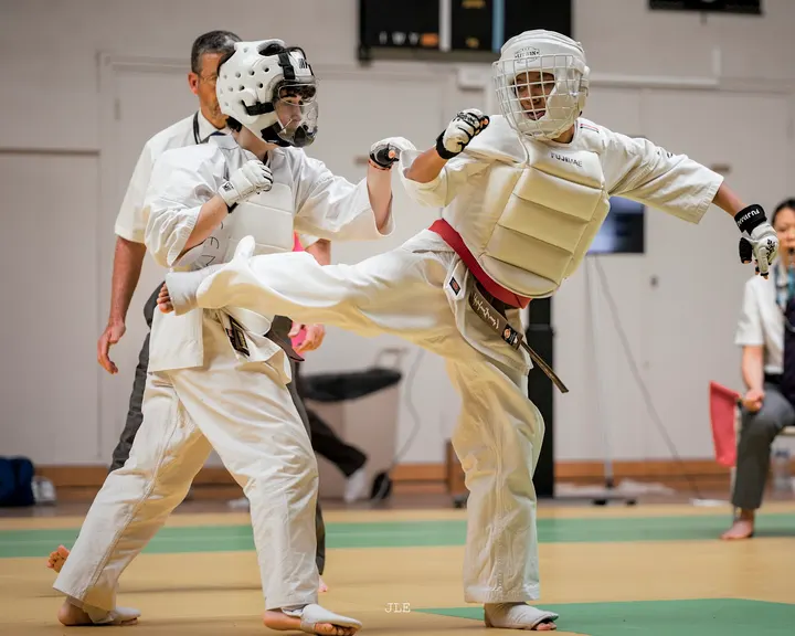 Club Lyon Karaté Kyokushinkai — Arts martiaux à Lyon 2e Arrondissement, Lyon