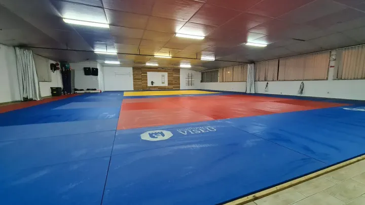 Icon Jiu-Jitsu Team Viseu — jiu-jitsu brasileiro-studio em Bairro do Liceu, Viseu — 3